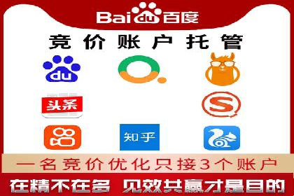 SEM托管实战案例：助力企业品牌形象塑造
